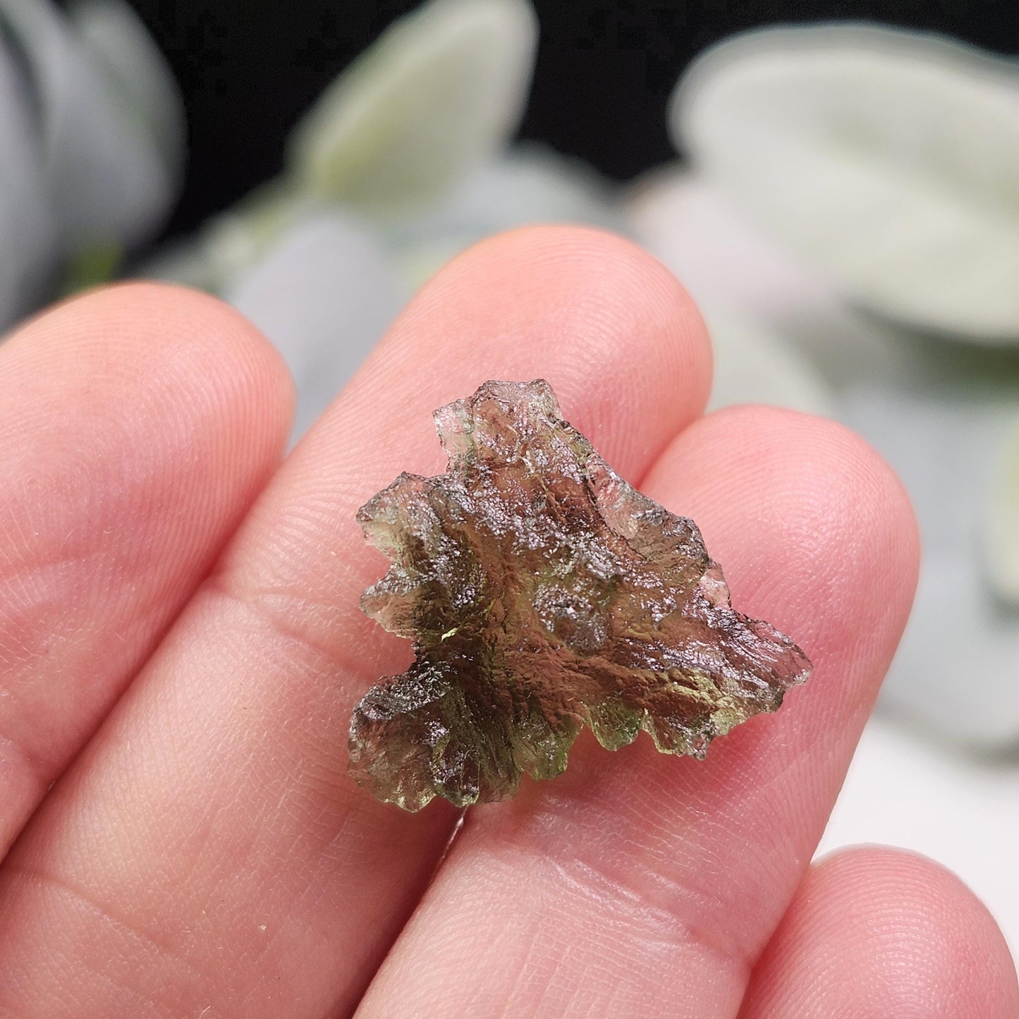 Besednice "Hedgehog" Moldavite 1.2g