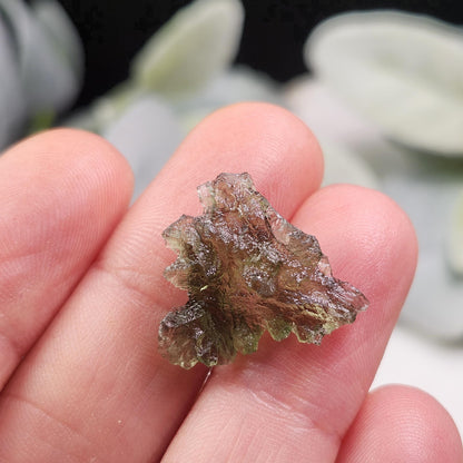 Besednice "Hedgehog" Moldavite 1.2g