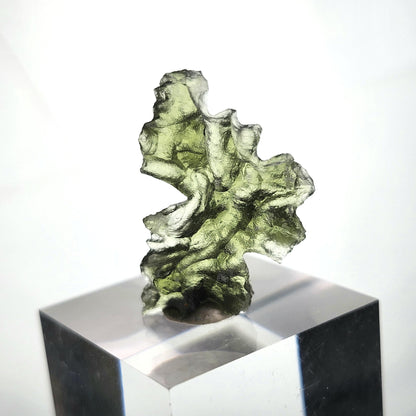 Besednice "Hedgehog" Moldavite 1.5g