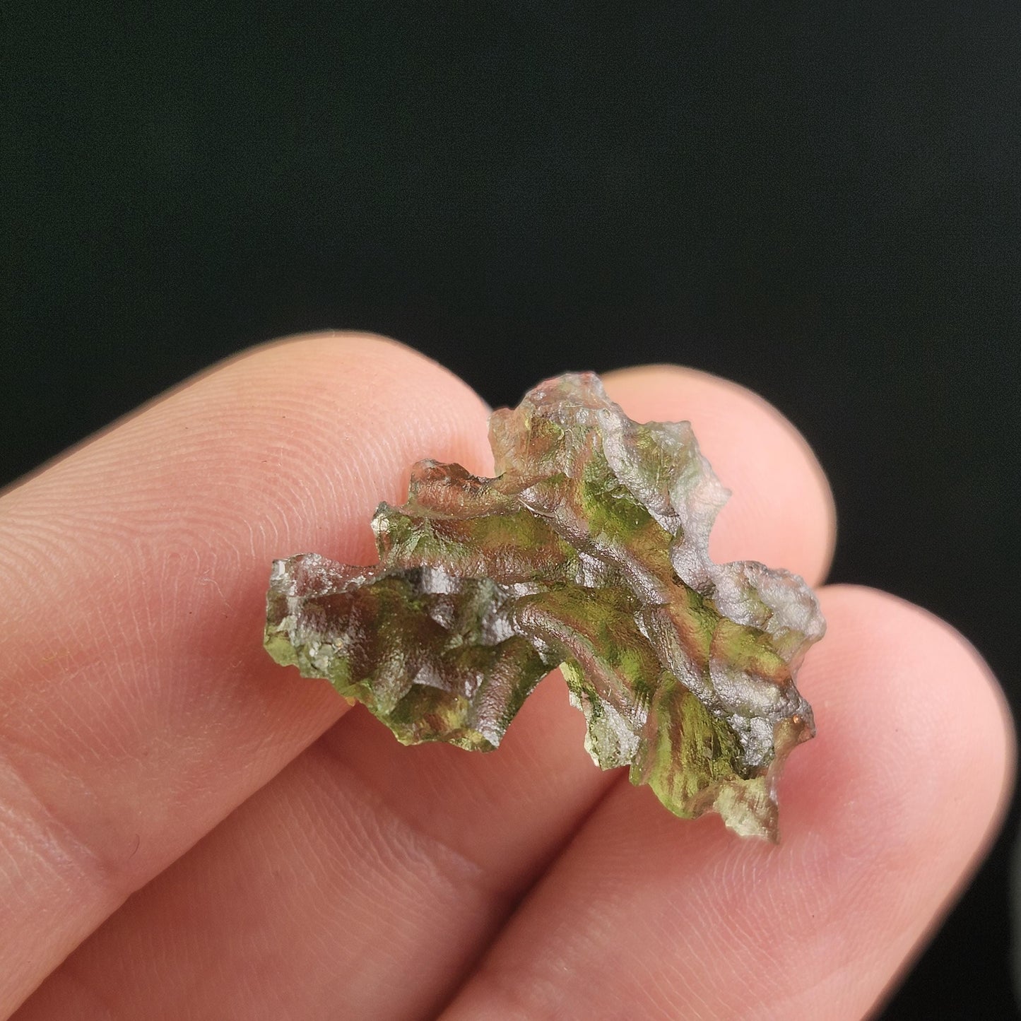 Besednice "Hedgehog" Moldavite 1.5g