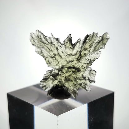 Besednice "Hedgehog" Moldavite 1g