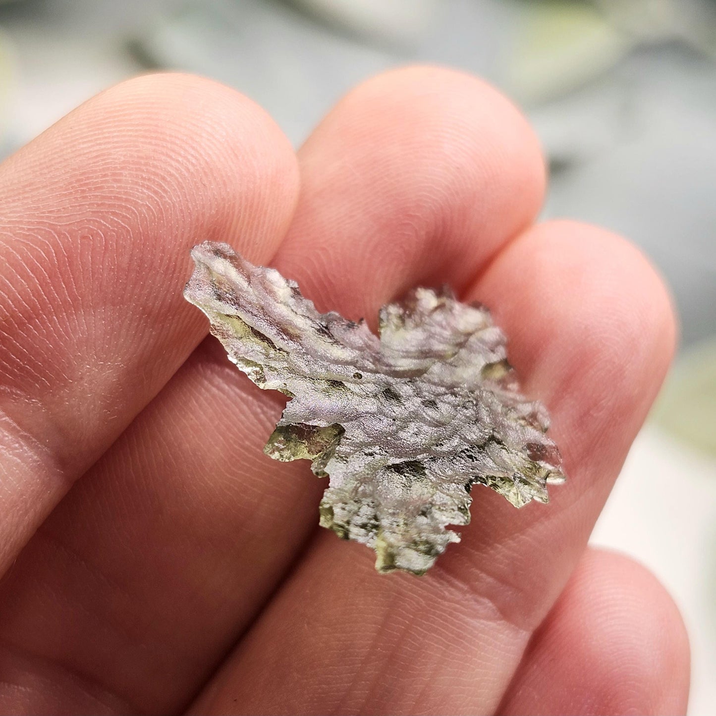 Besednice "Hedgehog" Moldavite 1g