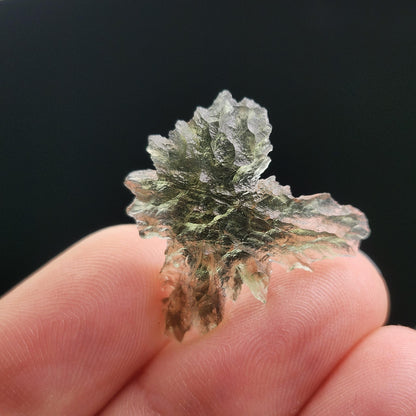 Besednice "Hedgehog" Moldavite 1g