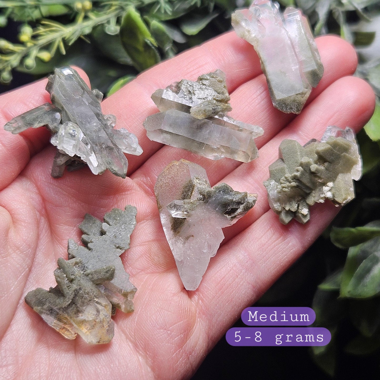 Himalayan Green Faden Chlorite Quartz: Raw Tabular Crystal with Manifestation Inclusions