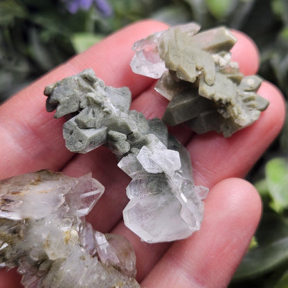 Himalayan Green Faden Chlorite Quartz: Raw Tabular Crystal with Manifestation Inclusions