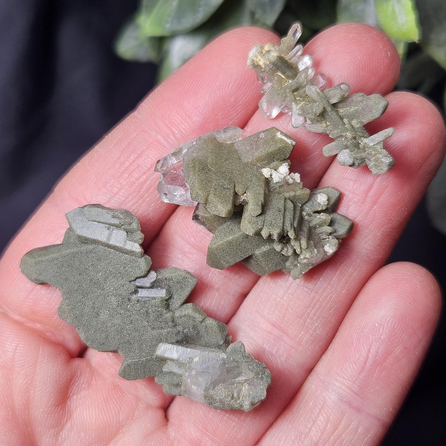 Himalayan Green Faden Chlorite Quartz: Raw Tabular Crystal with Manifestation Inclusions