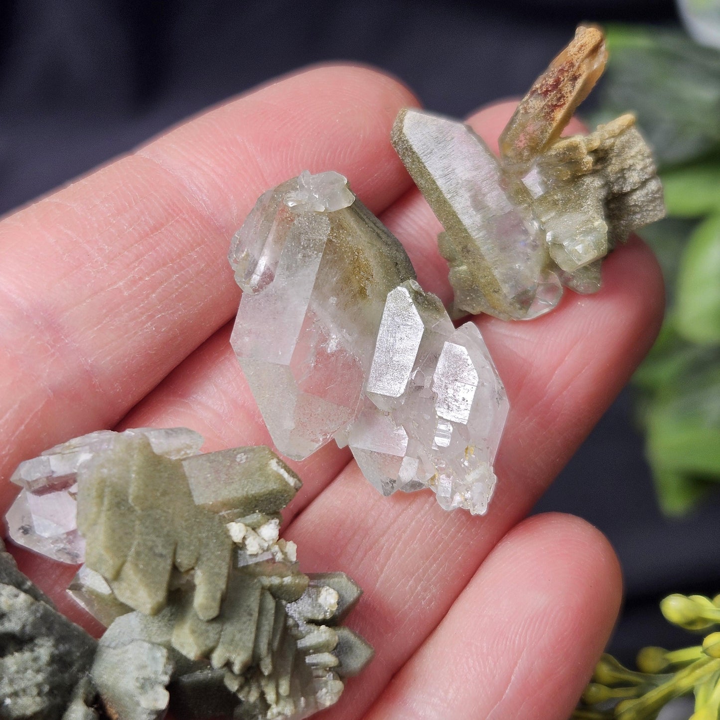 Himalayan Green Faden Chlorite Quartz: Raw Tabular Crystal with Manifestation Inclusions
