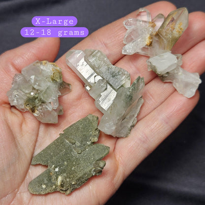 Himalayan Green Faden Chlorite Quartz: Raw Tabular Crystal with Manifestation Inclusions