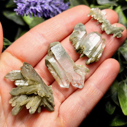 Himalayan Green Faden Chlorite Quartz: Raw Tabular Crystal with Manifestation Inclusions