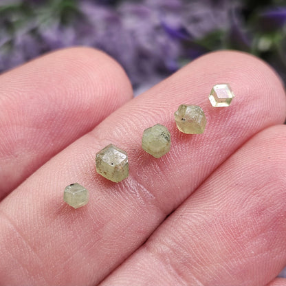 Green Demantoid Garnet Dodecahedron Crystals (Set of 5)