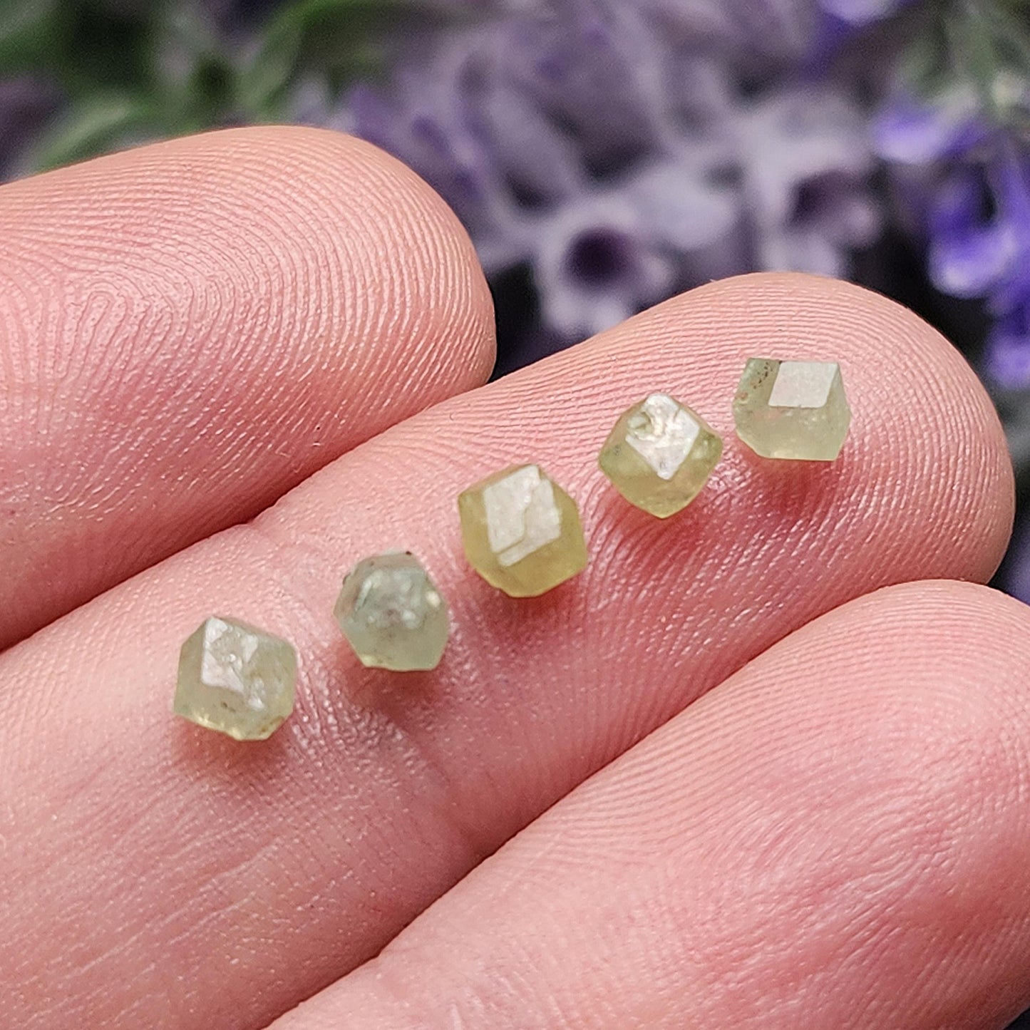 Green Demantoid Garnet Dodecahedron Crystals (Set of 5)