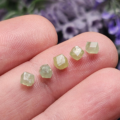 Green Demantoid Garnet Dodecahedron Crystals (Set of 5)