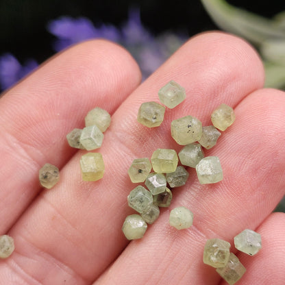 Green Demantoid Garnet Dodecahedron Crystals (Set of 5)