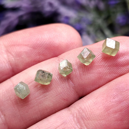 Green Demantoid Garnet Crystal OLD STOCK Specimens