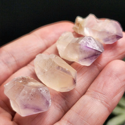 Trapiche Amethyst Stone