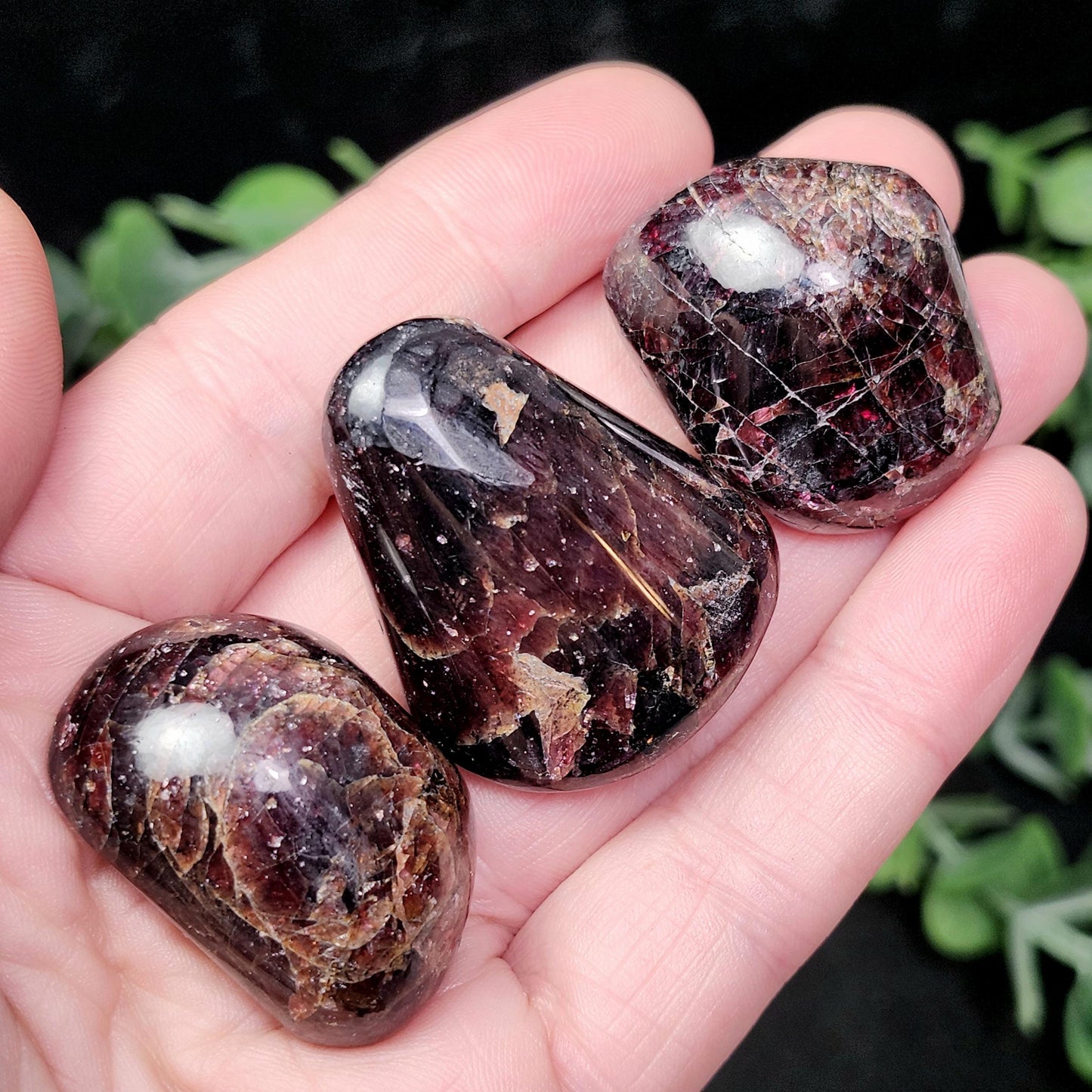 Polished Garnet Crystal