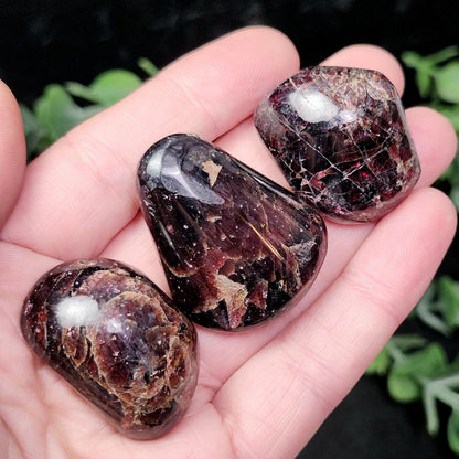 Polished Garnet Crystal