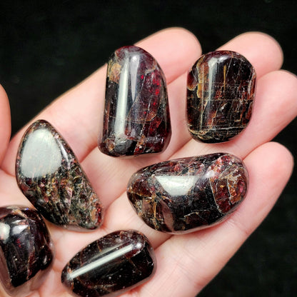 Polished Garnet Crystal