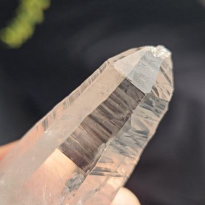 Ganesh Himal Quartz Crystal with Green Chlorite (70mm x20mm): Sacred Himalayan Crystal