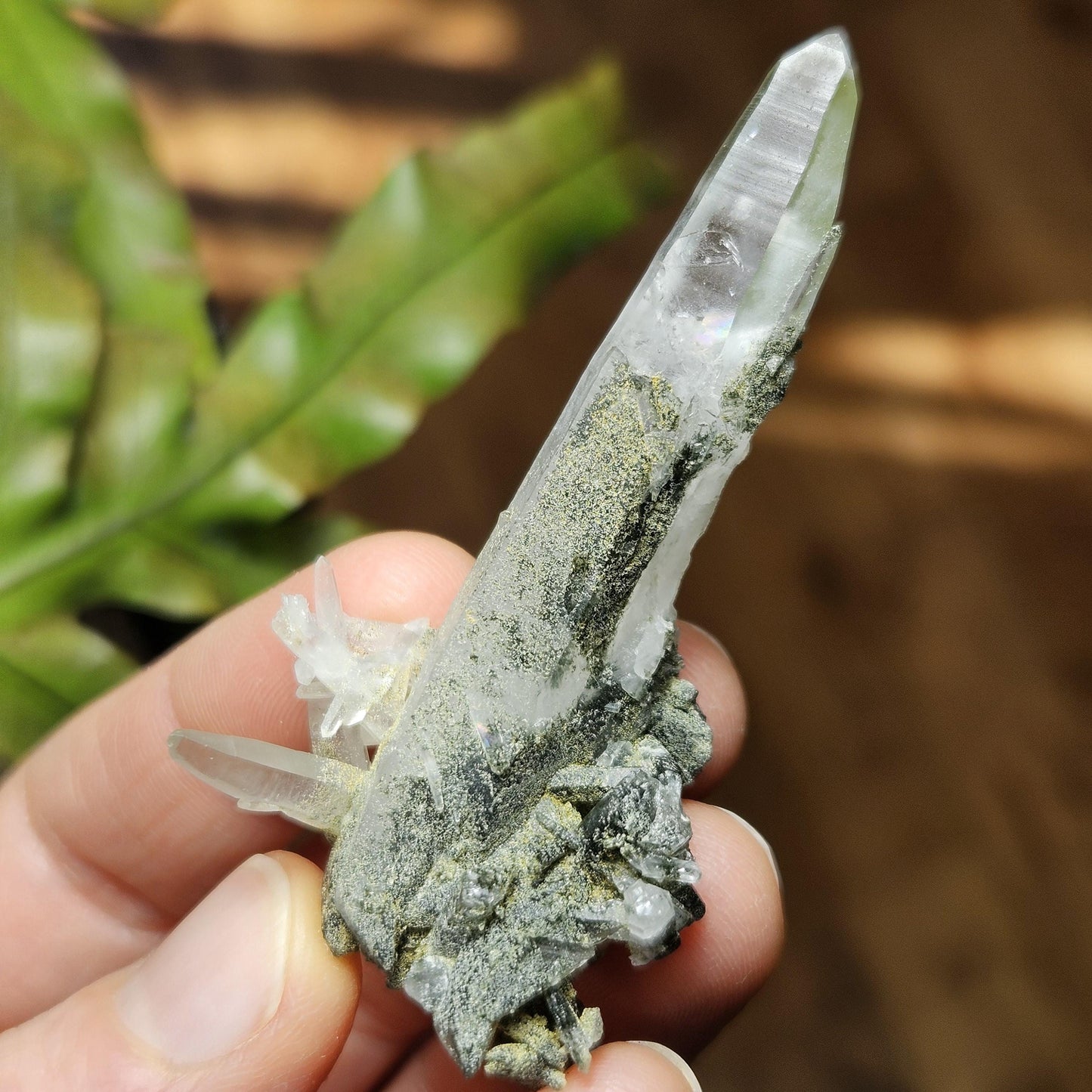 Ganesh Himal Quartz Crystal with Green Chlorite (65mm x25mm): Manifestation Crystal Inclusion, Tessin Habit Quartz, Prasem Crystal