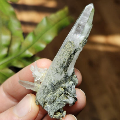 Ganesh Himal Quartz Crystal with Green Chlorite (65mm x25mm): Manifestation Crystal Inclusion, Tessin Habit Quartz, Prasem Crystal