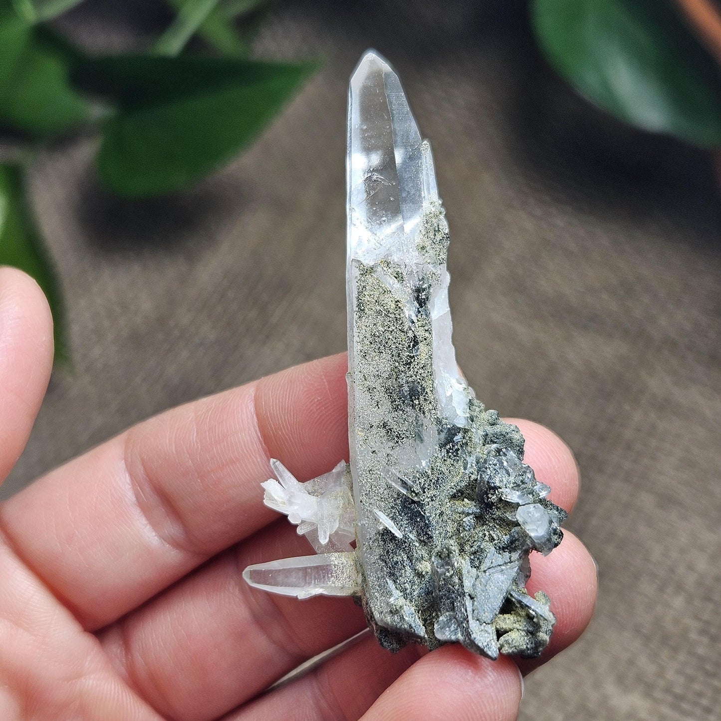 Ganesh Himal Quartz Crystal with Green Chlorite (65mm x25mm): Manifestation Crystal Inclusion, Tessin Habit Quartz, Prasem Crystal