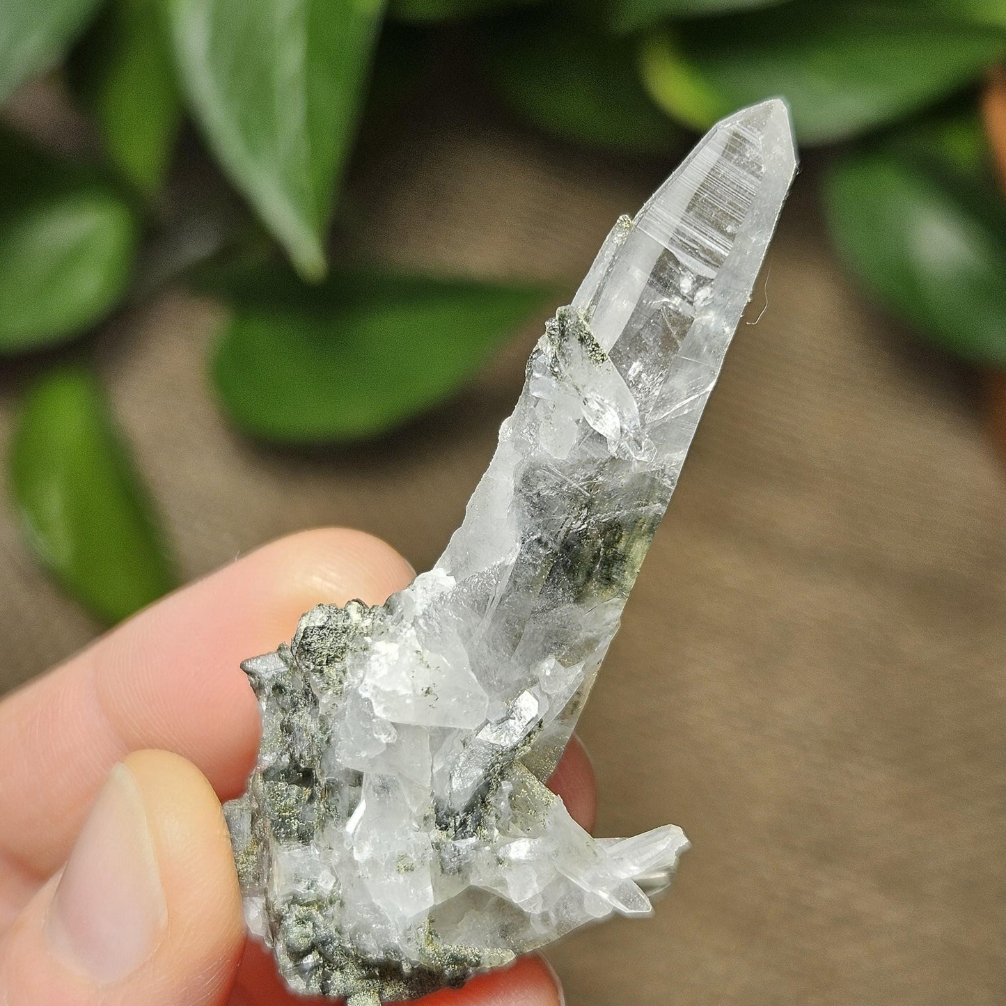 Ganesh Himal Quartz Crystal with Green Chlorite (65mm x25mm): Manifestation Crystal Inclusion, Tessin Habit Quartz, Prasem Crystal