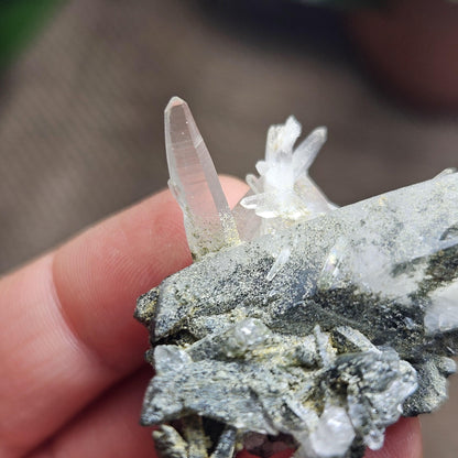 Ganesh Himal Quartz Crystal with Green Chlorite (65mm x25mm): Manifestation Crystal Inclusion, Tessin Habit Quartz, Prasem Crystal