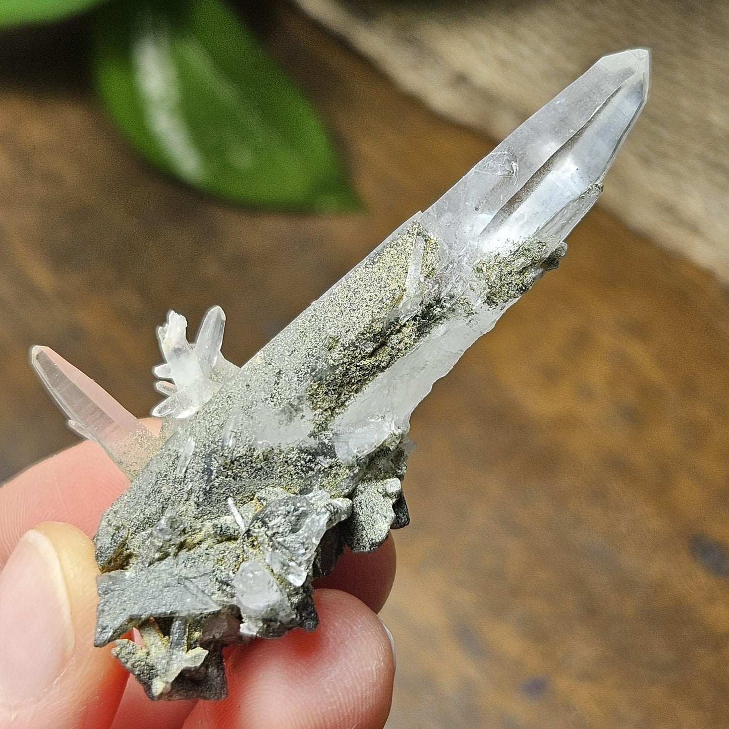 Ganesh Himal Quartz Crystal with Green Chlorite (65mm x25mm): Manifestation Crystal Inclusion, Tessin Habit Quartz, Prasem Crystal