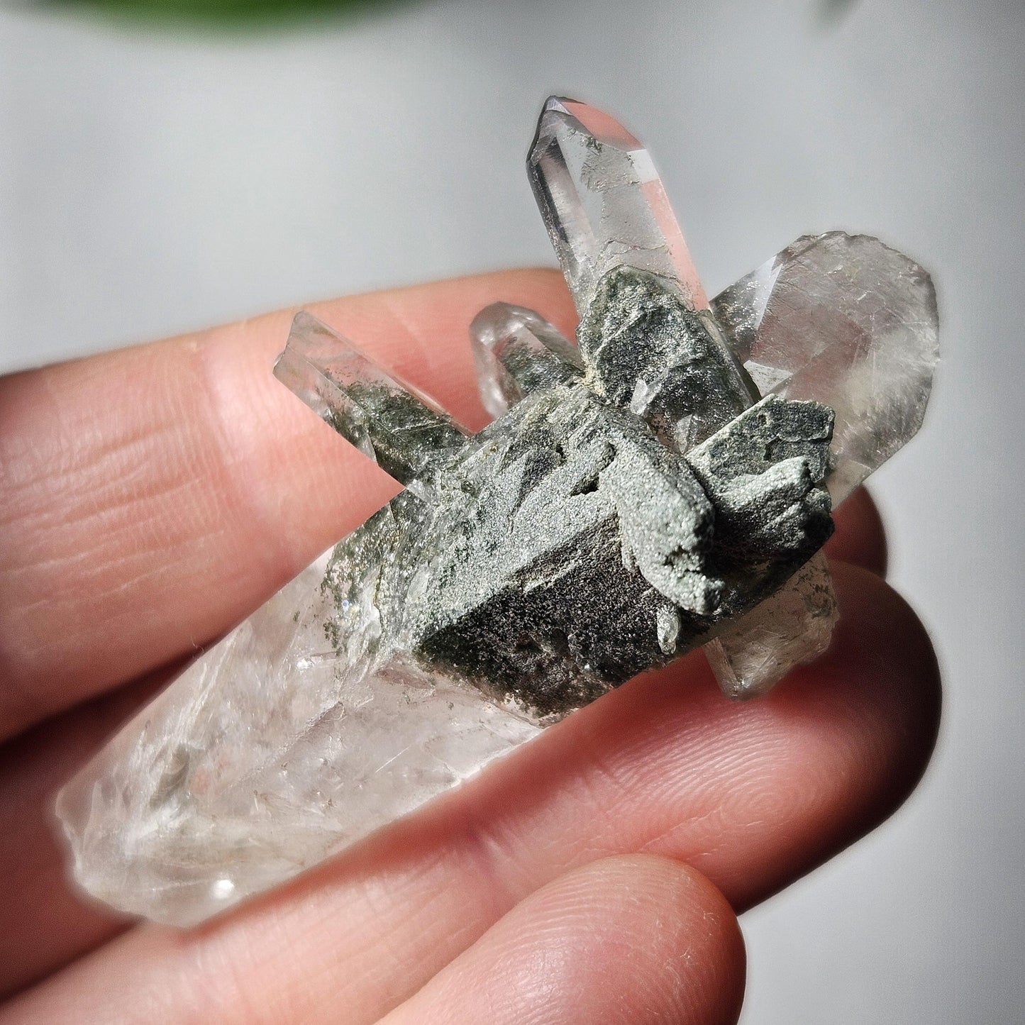 Ganesh Himal Manifestation Nepalese Quartz Crystal with Green Chlorite (65mm x25mm):  Prasem Crystal