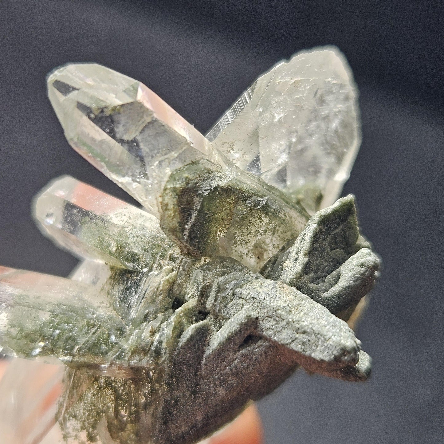 Ganesh Himal Manifestation Nepalese Quartz Crystal with Green Chlorite (65mm x25mm):  Prasem Crystal