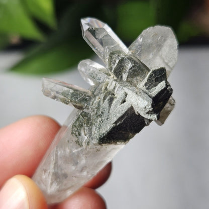 Ganesh Himal Manifestation Nepalese Quartz Crystal with Green Chlorite (65mm x25mm):  Prasem Crystal