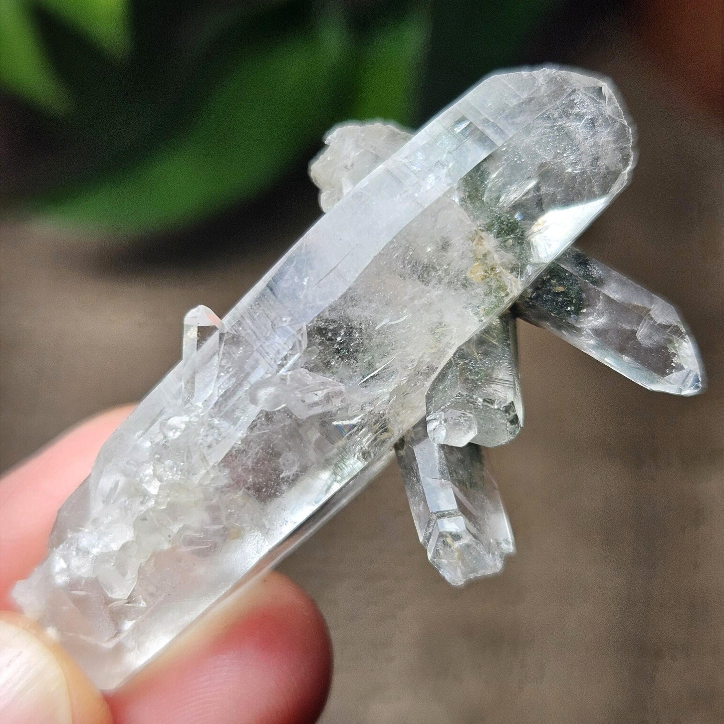 Ganesh Himal Manifestation Nepalese Quartz Crystal with Green Chlorite (65mm x25mm):  Prasem Crystal