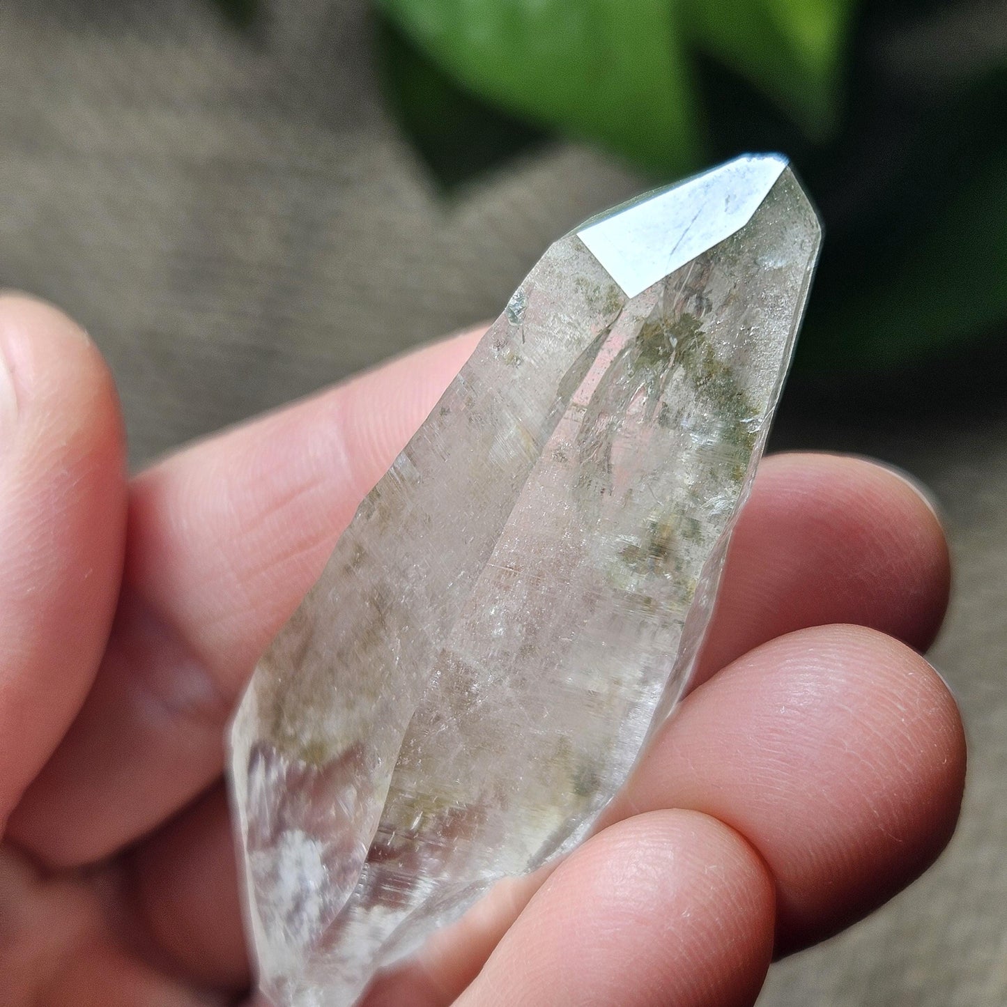 Ganesh Himal Quartz Crystal with Green Chlorite (60mm x 20mm): Himalayan Quartz Crystal