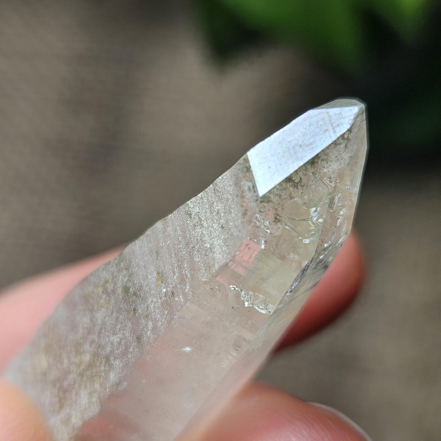 Ganesh Himal Quartz Crystal with Green Chlorite (60mm x 20mm): Himalayan Quartz Crystal