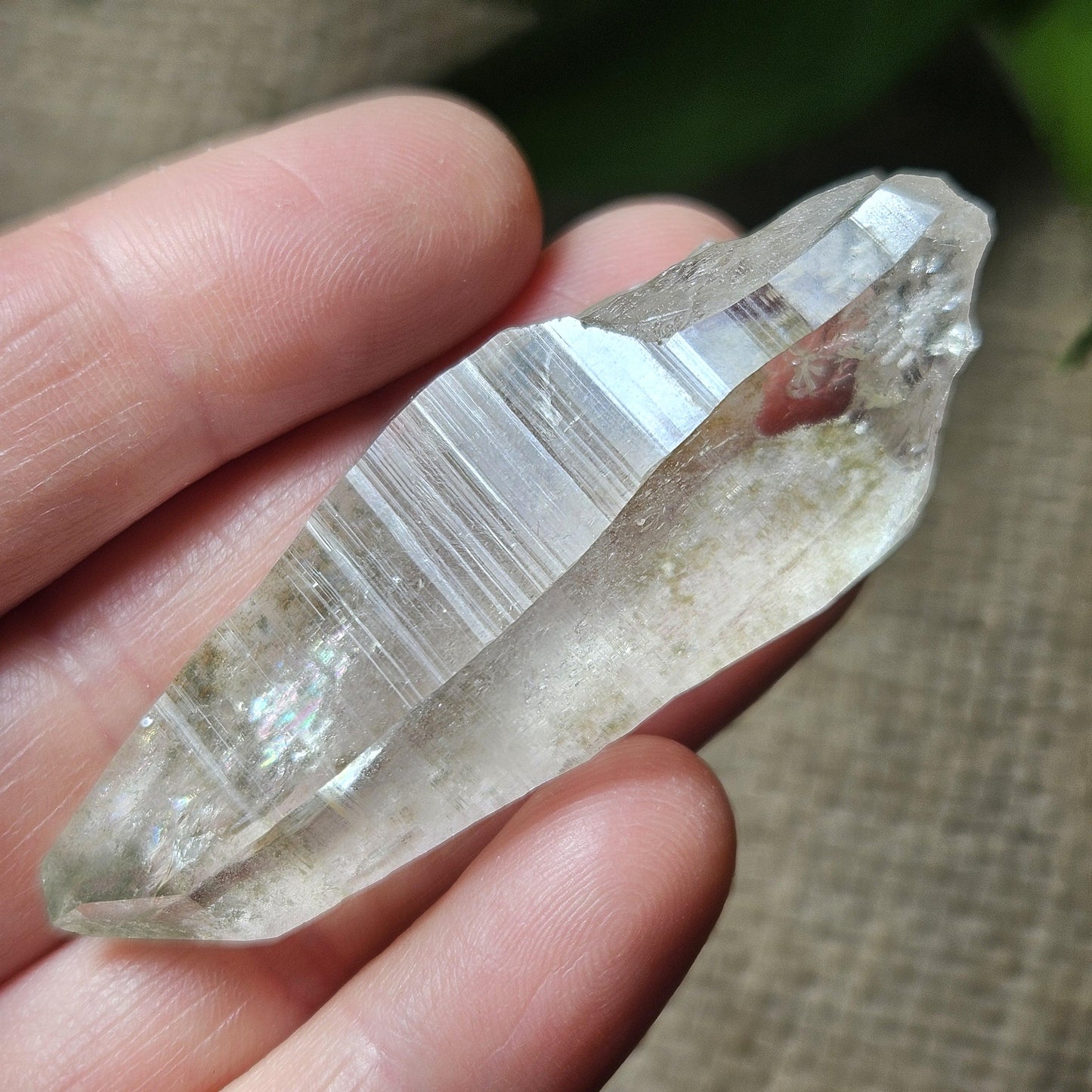 Ganesh Himal Quartz Crystal with Green Chlorite (60mm x 20mm): Himalayan Quartz Crystal
