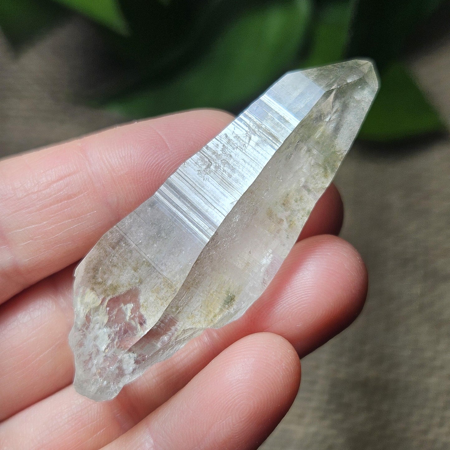 Ganesh Himal Quartz Crystal with Green Chlorite (60mm x 20mm): Himalayan Quartz Crystal
