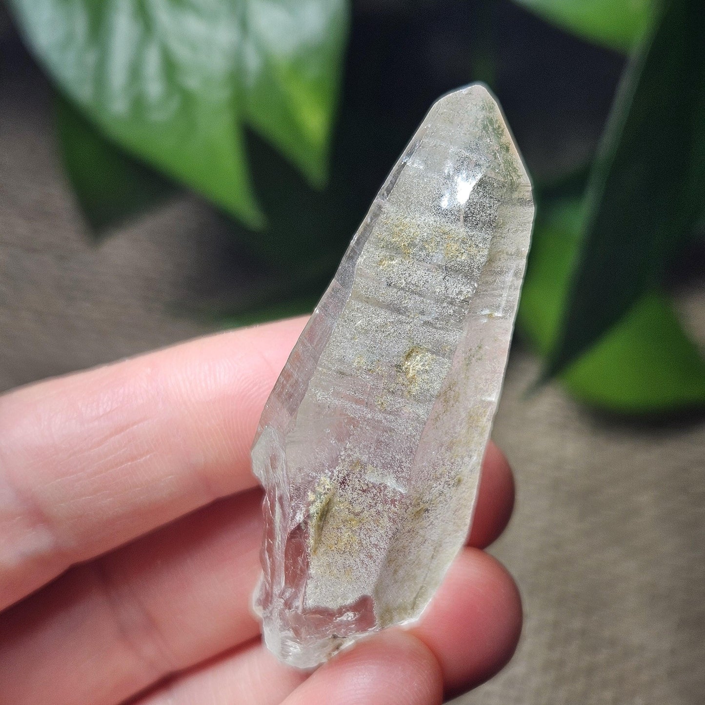 Ganesh Himal Quartz Crystal with Green Chlorite (60mm x 20mm): Himalayan Quartz Crystal