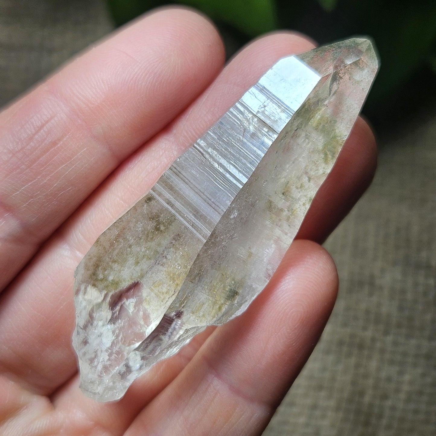 Ganesh Himal Quartz Crystal with Green Chlorite (60mm x 20mm): Himalayan Quartz Crystal