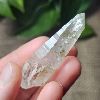 Ganesh Himal Quartz Crystal with Green Chlorite (60mm x 20mm): Himalayan Quartz Crystal