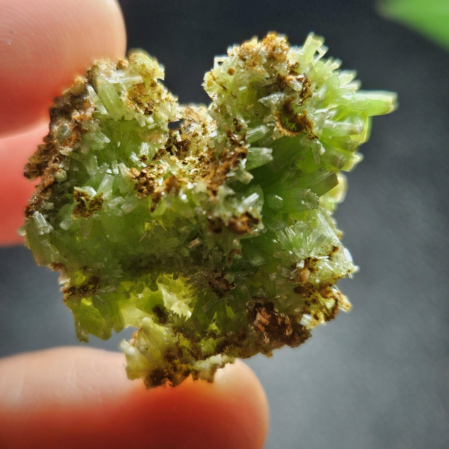 Starburst Pyromorphite Crystal, Rare Green Pseudomorph Specimen (30x27mm)