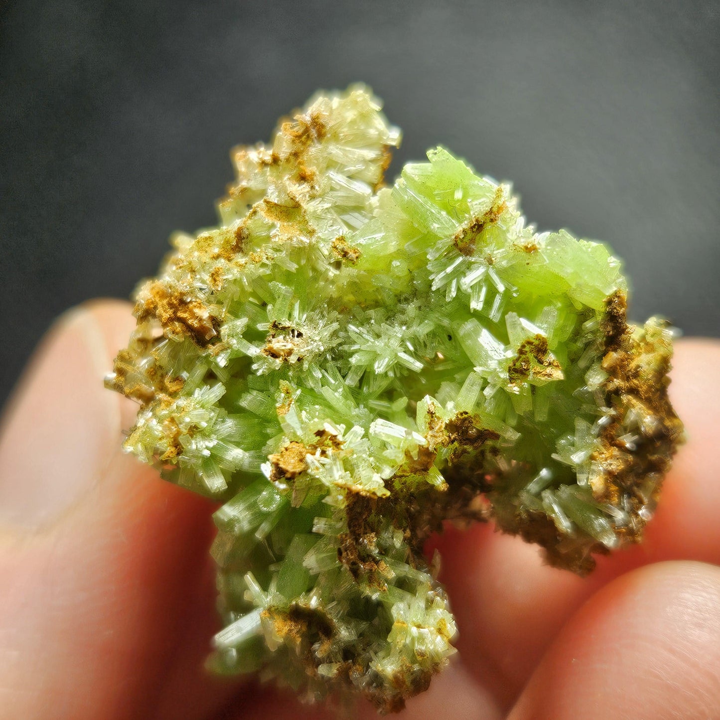 Starburst Pyromorphite Crystal, Rare Green Pseudomorph Specimen (30x27mm)