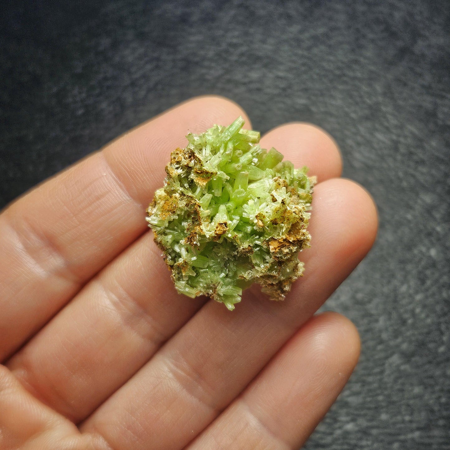 Starburst Pyromorphite Crystal, Rare Green Pseudomorph Specimen (30x27mm)