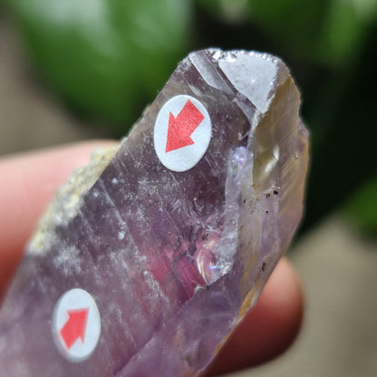 Enhydro Amethyst Crystal, Two MOVING Water Bubbles (28g)