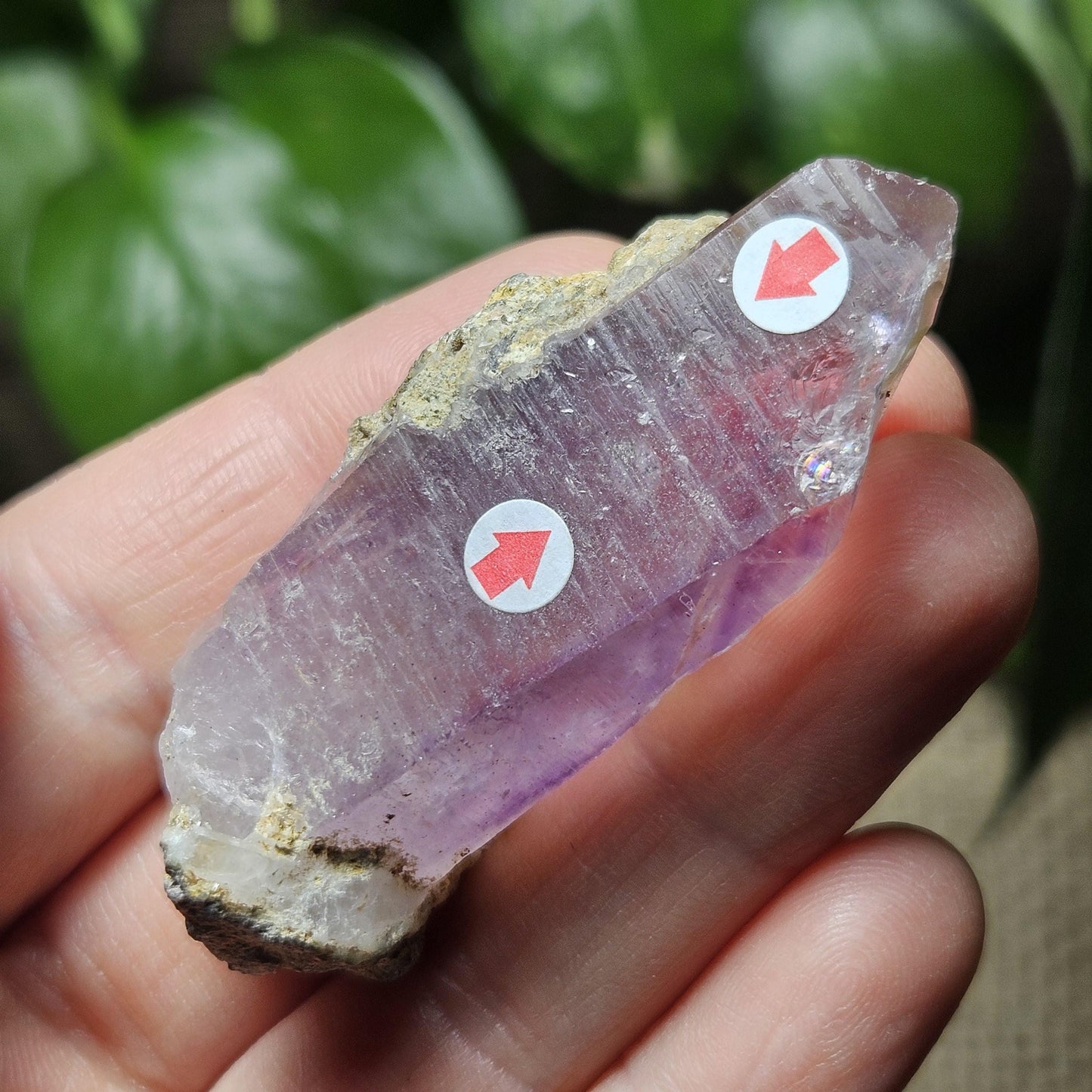 Enhydro Amethyst Crystal, Two MOVING Water Bubbles (28g)