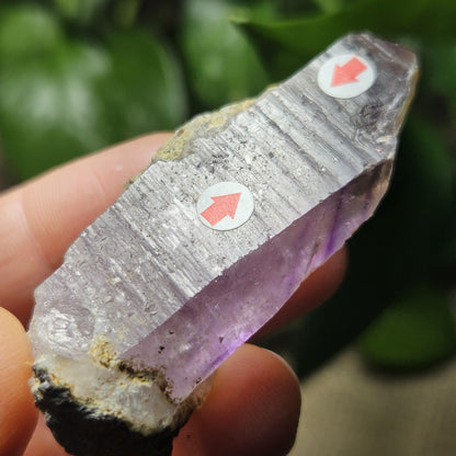 Enhydro Amethyst Crystal, Two MOVING Water Bubbles (28g)