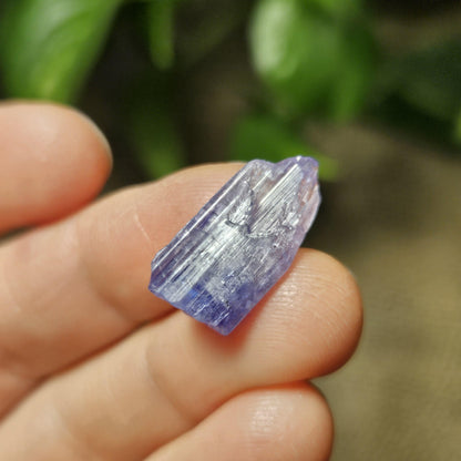Tanzanite Bicolor Terminated Crystal 2.16g
