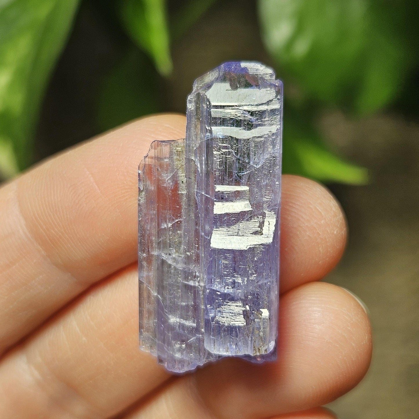 Tanzanite Terminated Crystal 6.28g