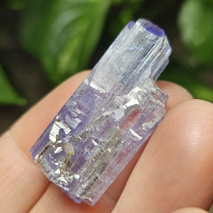 Tanzanite Terminated Crystal 6.28g