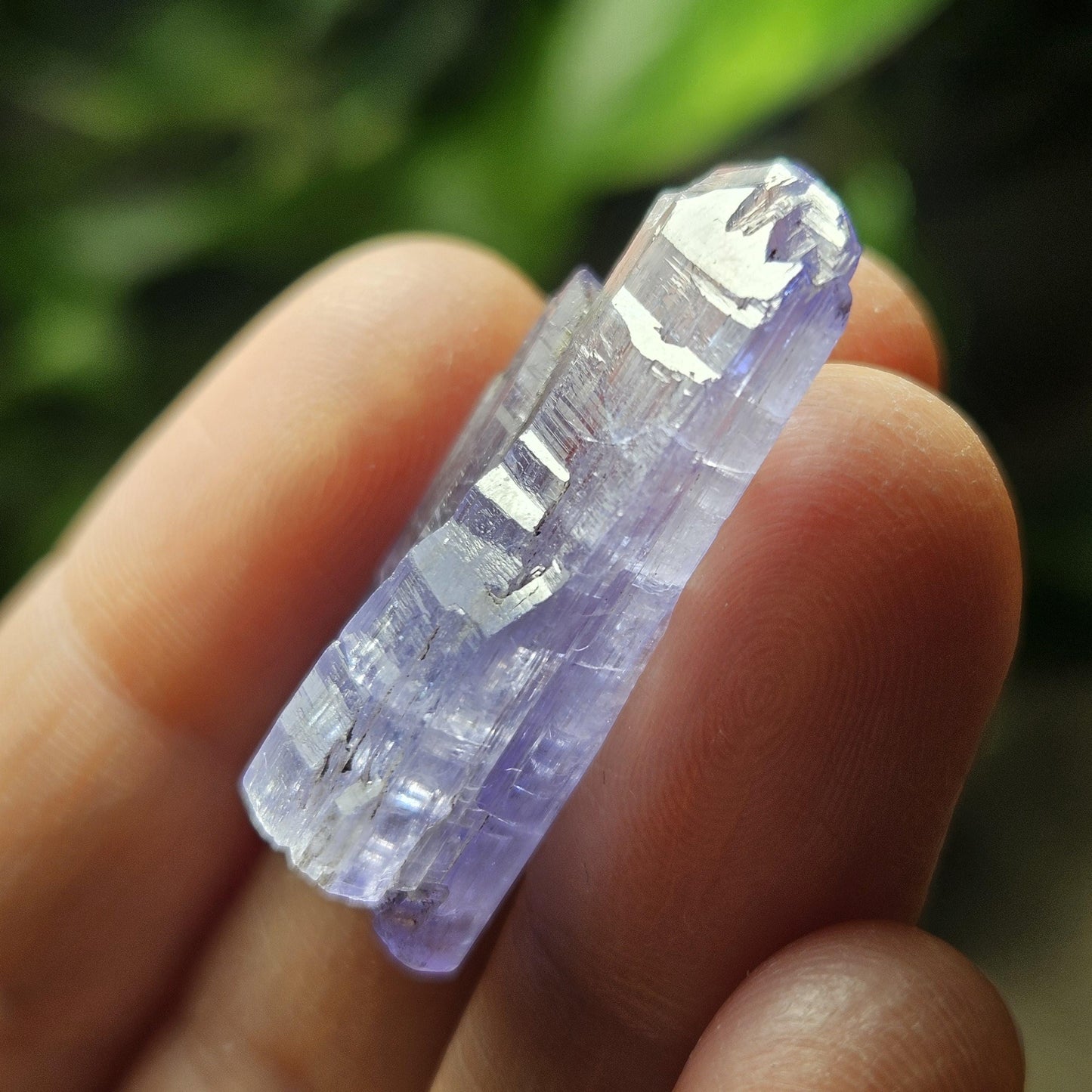 Tanzanite Terminated Crystal 6.28g